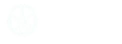 be-lidi.com